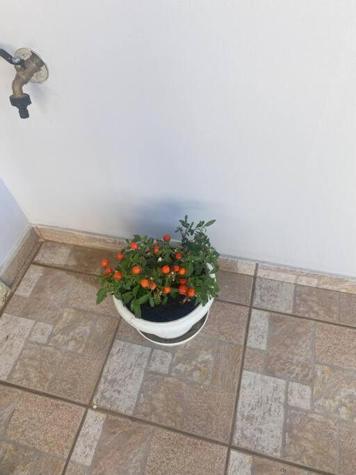 New Lovely Apartment In Heraklion Luaran gambar